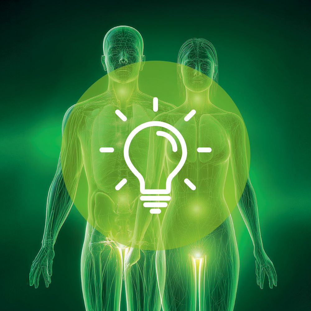 Une nouvelle approche fonctionnelle de l'équilibre hormonale