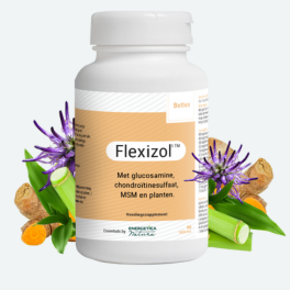 Flexizol Complexe de glucosamine, chondroïtine et MSM avec des plantes