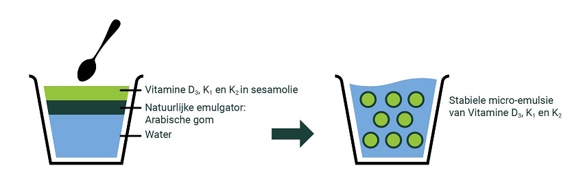 vitamine D en K