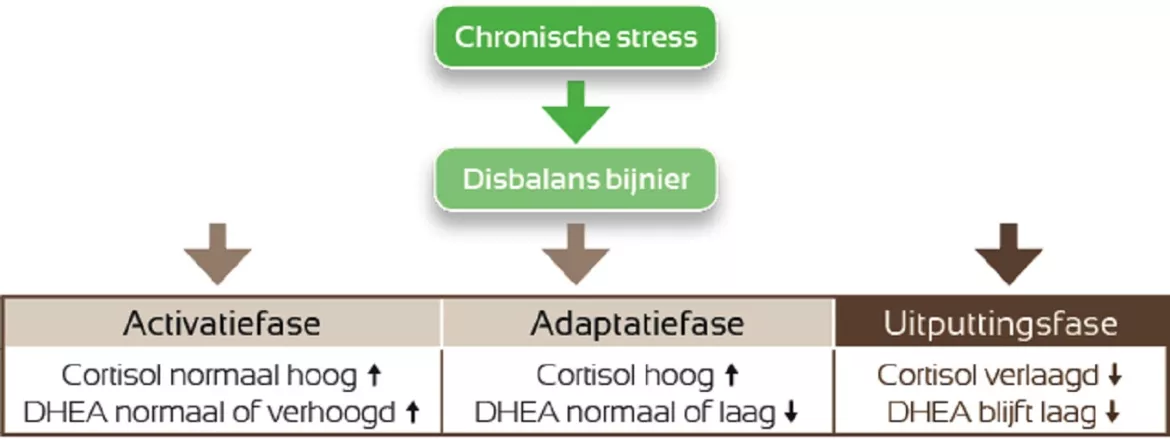 afbeelding Science