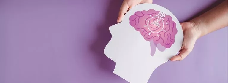 Cerveau et système nerveux