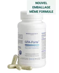 GTA Forte FR GTA Forte FR